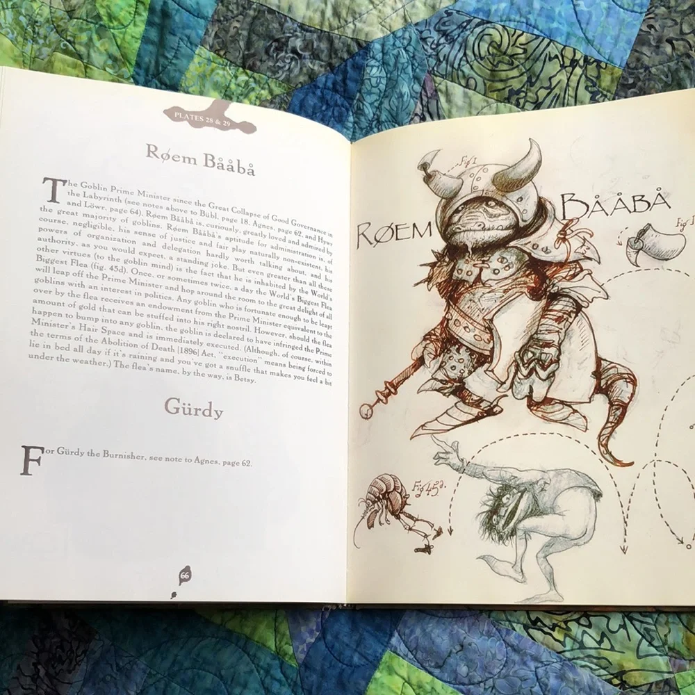 Froud Goblin Companion HC Book Field Guide Labyrinth Fantasy Whimsigoth